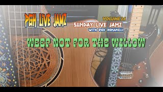 Sunday Live Jamz with Rick Romanelli  Volume 24  Weep Not For The Willow [upl. by Aramoj93]