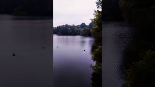 Weißensee shortvideo viralvideo viralshort new nature [upl. by Eimmelc]