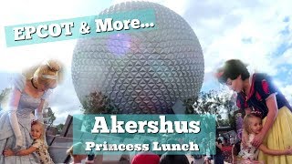 Disney World 2017 Day 2 Epcot amp Akershus Royal Banquet Hall [upl. by Anoblav46]