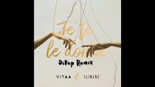 Vitaa Ft Slimane  Je Te Le Donne DiPap Remix [upl. by Eltsirhc19]