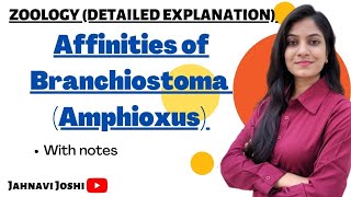 Affinities of BranchiostomaAmphioxus Notes Bsc 2nd year Zoology [upl. by Adnilem]