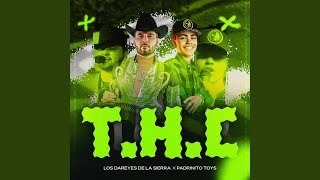 THC En Vivo [upl. by Enneirda]