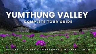 Yumthung Valley in April 😍 Snow with Flowers 🌼 Part 5 Lachung North Sikkim tour✨ Travel vlog [upl. by Allrud272]