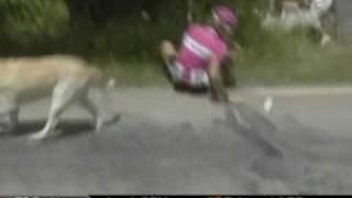 Marcus Burghardt Collides With Dog English Capture [upl. by Marlea610]