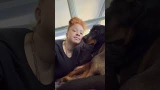 Dog attack after being annoyed JK dog doglover dogslife short shortvideo viralshorts [upl. by Malsi569]