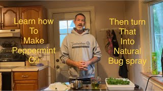 How to make peppermint oil and turn that into a natural bug spray [upl. by Grimaud112]