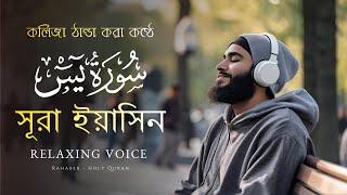 Surah Yasin Beautiful Quran Recitation  সূরা ইয়াসিন কুরআনের হৃদয়  Relaxing Quran [upl. by Inal]