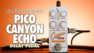 ElectroHarmonix PICO CANYON ECHO Digital Delay EHX Demo by BILL RUPPERT [upl. by Rikki]