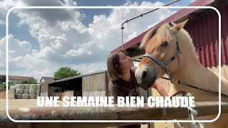 WEEKLY VLOG  Une semaine dans ma peau à lécurie [upl. by Yssirc791]