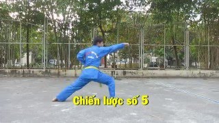 Chiến Lược số 1 2 3 4 5  Vovinam Việt Võ Đạo [upl. by Ehsrop]