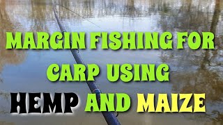 MARGIN FLOAT FISHING FOR CARP USING MAIZE AND HEMP [upl. by Irme]