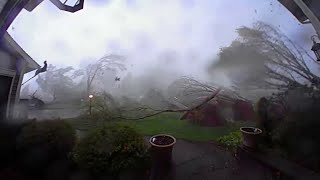 Every tree in this Michigan yard came down during tornado conditions [upl. by Ahsiri39]