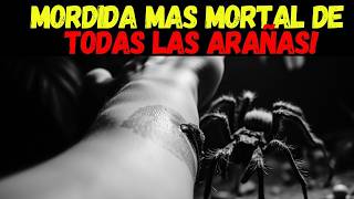 5 Minutos para SOBREVIVIR una Mordedura de Tarántula ¡Es Posible [upl. by Mauralia]