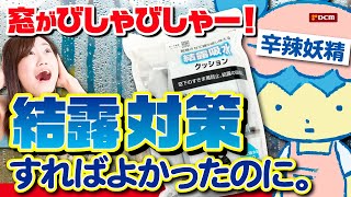 窓がびしゃびしゃー！ 辛辣妖精：結露対策すればよかったのに [upl. by Aihseyk]