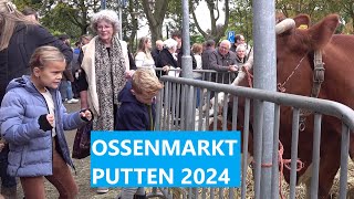 Ossenmarkt Putten 2024 Woensdag 9 Okt 2024 [upl. by Allekram]