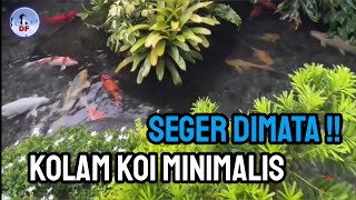 Kolam Koi Minimalis Natural [upl. by Lenahc54]