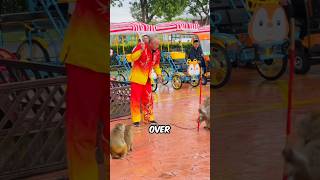 Monkey Slaps Owner Grabs Knife in Hilarious Street Show 😂 [upl. by Ide434]