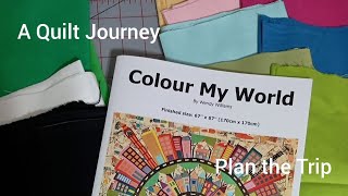 Color My World design by Wendy Williams Quilt Journey [upl. by Pegg827]