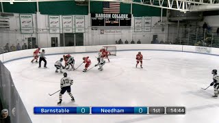 Boys Hockey vs Barnstable [upl. by Fredela340]