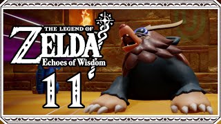 THE LEGEND OF ZELDA ECHOES OF WISDOM ⚜️ 11 Der MaulwurfsGreif [upl. by Nrevel]