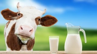 Adulteration in Milk home made tests either milk is pure or fake [upl. by Noslrac]