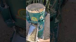 300 type feed pellet machine used for homemade pellet productionSqueezing feed pellets machine [upl. by Cinelli689]