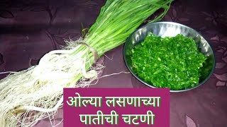 लसूण पातीची चटणी  lasun patichi chutney  Garlic chutney in marathi [upl. by Secnirp502]