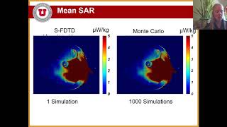 Estimating the Variance of SAR in a 3D Human Head Model Using Stochastic FDTD IEEE APS 2020 [upl. by Nlycaj483]