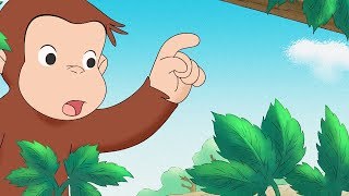 Curious George 🐵 George and Allies Lawn Service 🐵Compilation🐵 HD 🐵 Cartoons For Children [upl. by Valerlan]