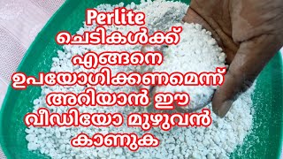 Perlite use in gardening  Perlite Malayalam  Perlite for plants Malayalam [upl. by Nancie]