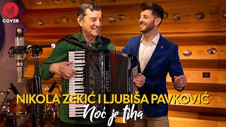 Nikola Zekic i Ljubisa Pavkovic  Noc je tiha Official video [upl. by Cotsen]