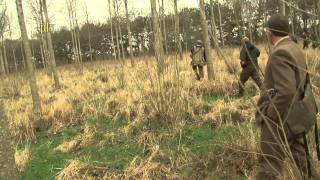 Dave Templars runs at the 2012 English Springer Spaniel Championship [upl. by Gilemette]