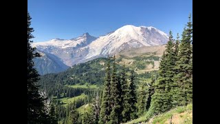 Hike Sunrise to Berkeley Park Mount Rainier National Park  68 miles August 2021 [upl. by Quintessa]