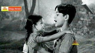 Andala Pasi Papa All Time Super Hit Song  Chitti Chellelu Telugu Movie HD [upl. by Nelav816]