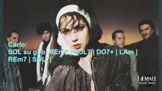 Matia Bazar  Stasera che sera LIVE Doc Music Club 1988 cover [upl. by Berk139]