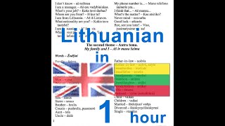 Lithuanian language course Anglų lietuvių kalbos pamokos kursas [upl. by Noby]