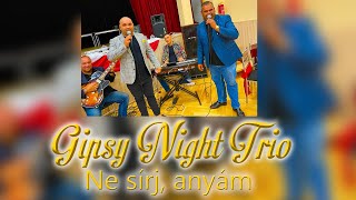 Gipsy Night Trio  Ne sírj anyám [upl. by Ahsinrat404]