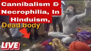 Cannibalism amp Necrophilia In Hinduism The Debate313DonaldTrumpindiaPakistanIranIsraelHamasHizb [upl. by Elsbeth439]