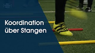 Koordinationsübungen über Stangen  Athletiktraining am Deutschen Fußball Internat [upl. by Anilrats]