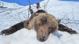 KAMCHATKA BROWN BEAR HUNTING WITH PROFIHUNT 2019 [upl. by Otilia247]