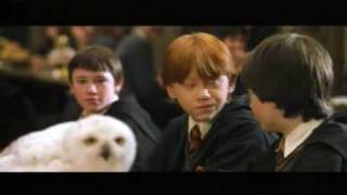 Harry Potter and the Sorcerers Stone deleted scene 2 [upl. by Kerwon]