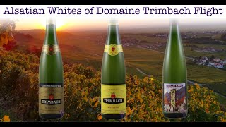 A conversation with Anne Trimbach of Domaine Trimbach [upl. by Ahern]