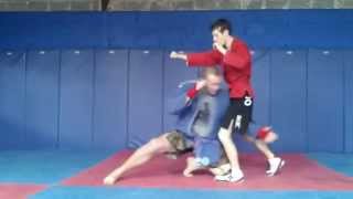 Combat Sambo Demonstration [upl. by Dearr]