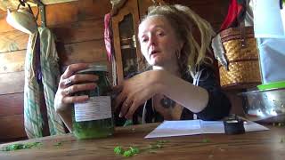 How to make Chickweed infused oil [upl. by Derek]