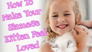 Siamese Sweeties How to Make Your Siamese Kittens Feel Loved siamese kitten [upl. by Schouten]