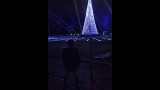 Bute park Christmas lights 2023 butepark christmas lightshow cardiff christmaslights [upl. by Irreg]