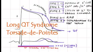 Long QT syndrome Torsade de pointes Elevated QT interval [upl. by Dominick]