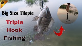 Triple Hook Tilapia Fishing  Using Triple Hook 🎣🐠🐟 [upl. by Nilram]