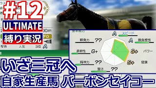 【ウイポ10 2024 Switch版】12 カウンテスバーボン産駒！縛り実況！お守り使用禁止！引き継ぎなし！難易度ULTIMATE！1980年5月4週～【ウイニングポスト10 2024】 [upl. by Ailil]