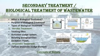 Biological Treatment of Wastewater Secoundary treatment of sewage water Hindi Urdu [upl. by Mckale]